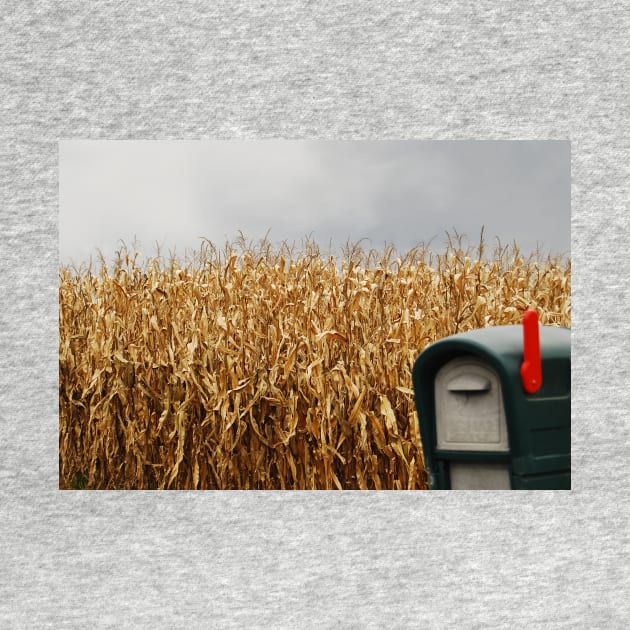 Rural Mailbox and Cornfield by LaurieMinor